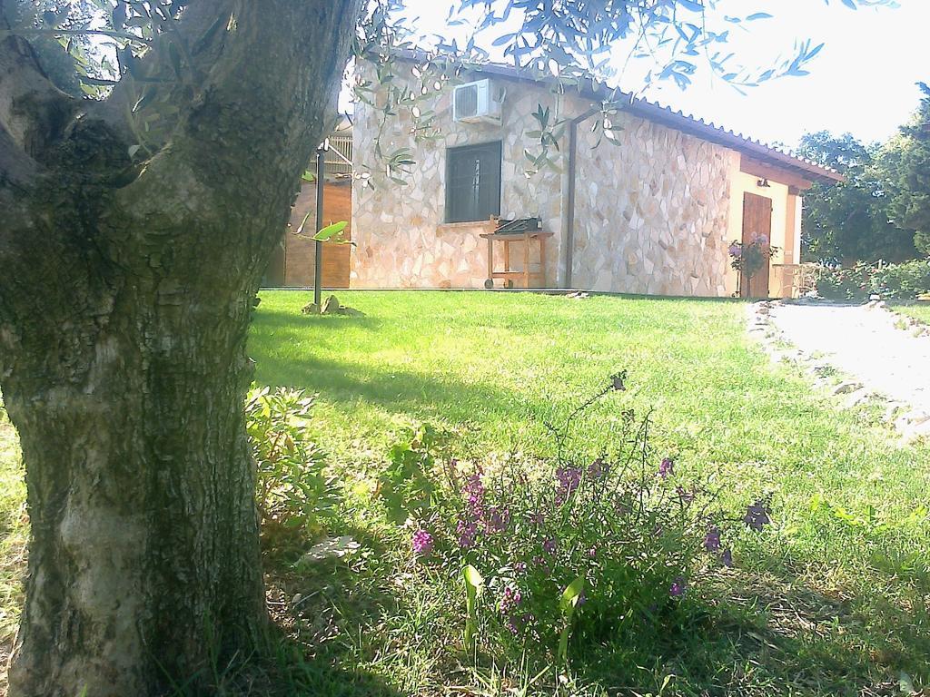 Villa Casale Dinelli Tarquinia Habitación foto